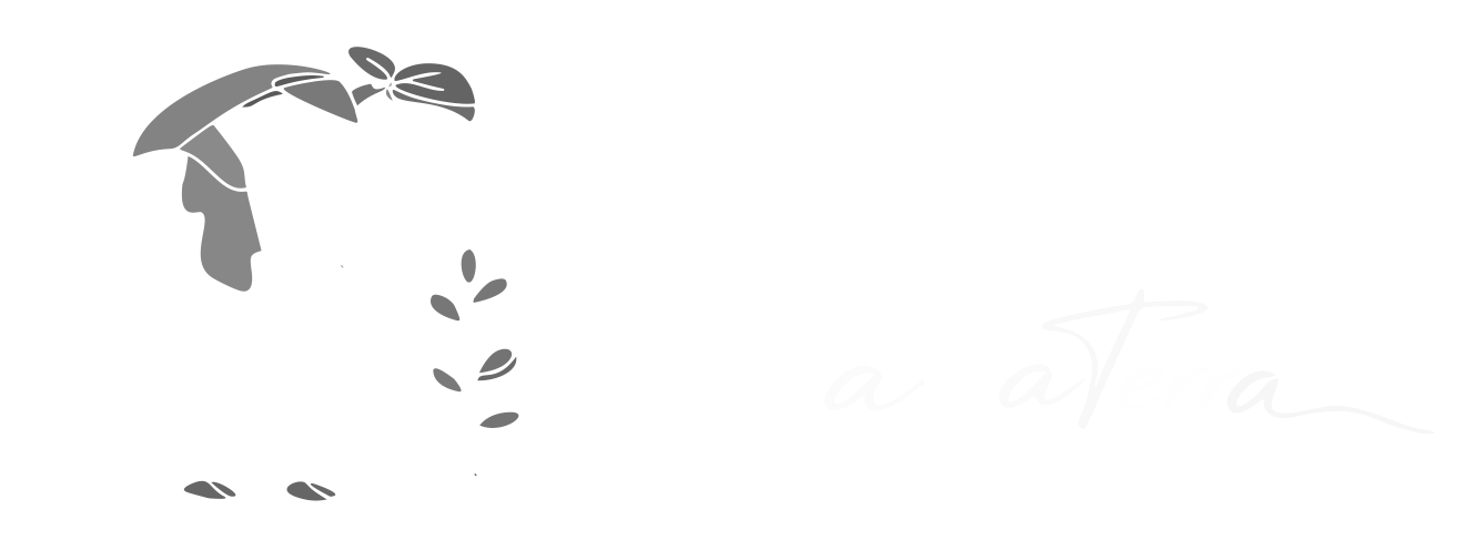 Aterra na terra
